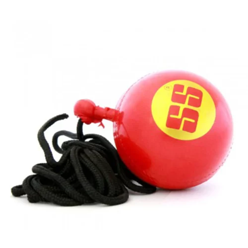 SS HANGING CRICKET BALL