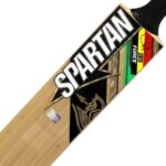 spartan-chris-gale-bat-close-view-3.jpg